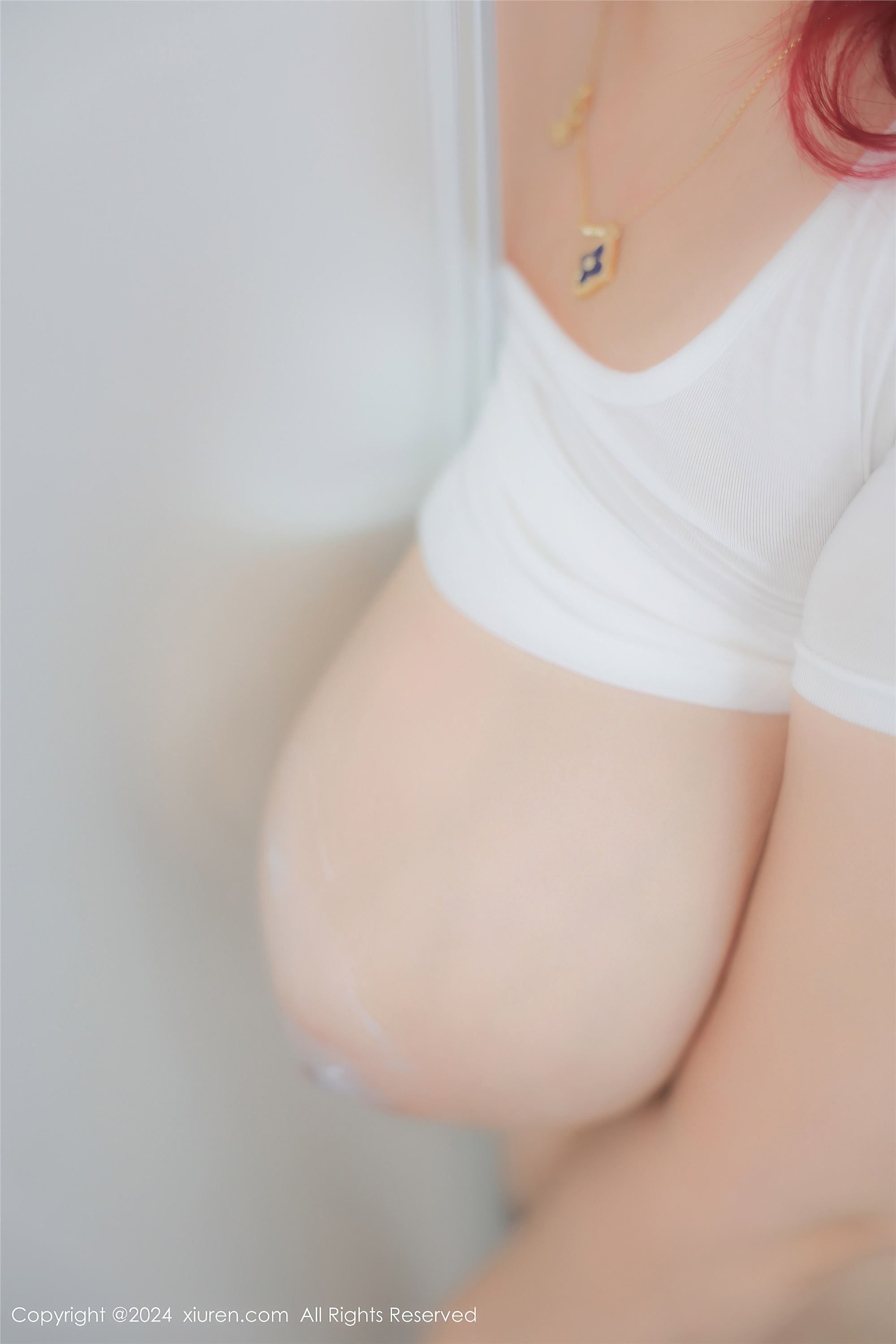 Xiuren秀人网 2024.12.18 NO.9615 Lena